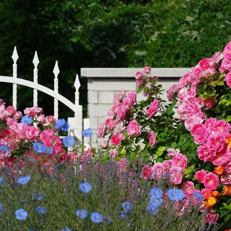 벨렌체 House Magnolia 아파트 외부 사진